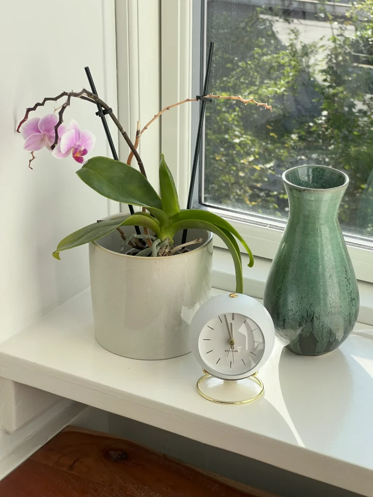 stemningsfuldt billede af vindueskarm i terapilokale Venligt Sind